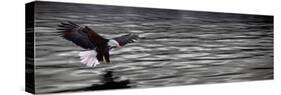 Eagle over Water-null-Stretched Canvas