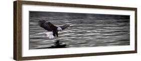 Eagle over Water-null-Framed Photographic Print