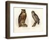 Eagle Owl, 1864-null-Framed Giclee Print