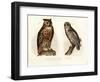 Eagle Owl, 1864-null-Framed Giclee Print