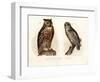 Eagle Owl, 1864-null-Framed Giclee Print