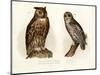 Eagle Owl, 1864-null-Mounted Giclee Print