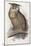 Eagle Owl, Bubo Maximus, 1832-1837-Edward Lear-Mounted Giclee Print