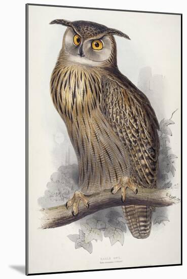 Eagle Owl, Bubo Maximus, 1832-1837-Edward Lear-Mounted Giclee Print