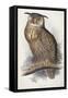Eagle Owl, Bubo Maximus, 1832-1837-Edward Lear-Framed Stretched Canvas