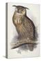 Eagle Owl, Bubo Maximus, 1832-1837-Edward Lear-Stretched Canvas