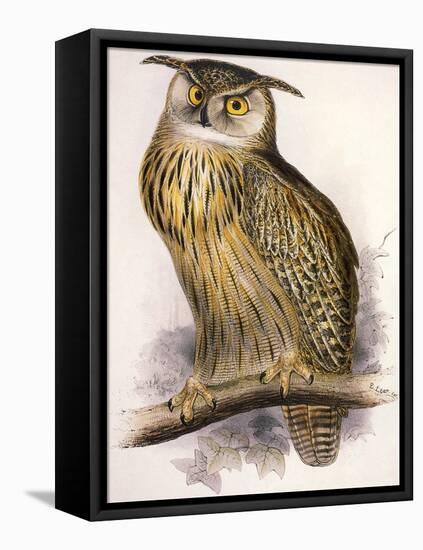 Eagle Owl, Bubo Maximus-Edward Lear-Framed Stretched Canvas