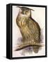 Eagle Owl, Bubo Maximus-Edward Lear-Framed Stretched Canvas