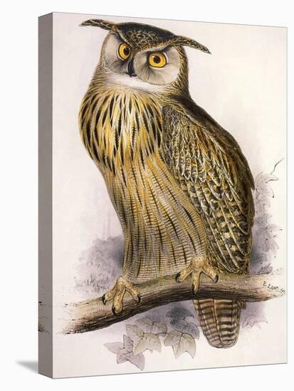 Eagle Owl, Bubo Maximus-Edward Lear-Stretched Canvas