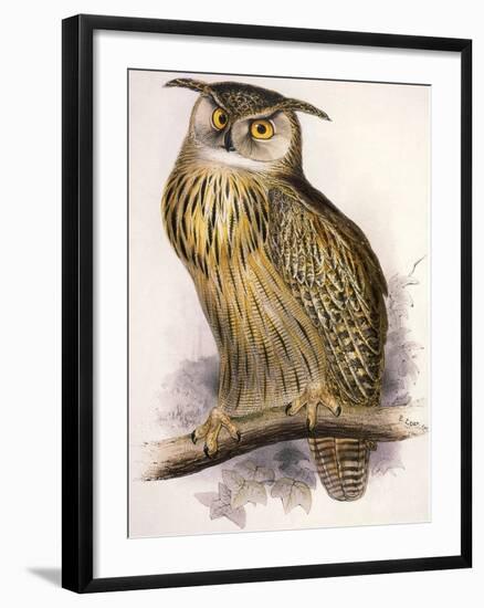 Eagle Owl, Bubo Maximus-Edward Lear-Framed Giclee Print