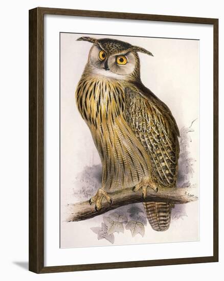 Eagle Owl, Bubo Maximus-Edward Lear-Framed Giclee Print