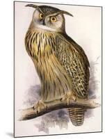 Eagle Owl, Bubo Maximus-Edward Lear-Mounted Giclee Print