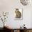 Eagle Owl, Bubo Maximus-Edward Lear-Mounted Giclee Print displayed on a wall