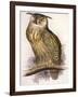 Eagle Owl, Bubo Maximus-Edward Lear-Framed Giclee Print