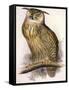 Eagle Owl, Bubo Maximus-Edward Lear-Framed Stretched Canvas