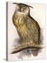 Eagle Owl, Bubo Maximus-Edward Lear-Stretched Canvas