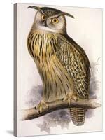 Eagle Owl, Bubo Maximus-Edward Lear-Stretched Canvas