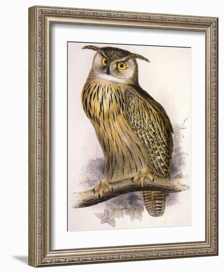 Eagle Owl, Bubo Maximus-Edward Lear-Framed Giclee Print