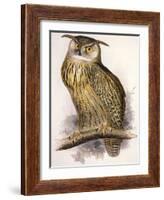 Eagle Owl, Bubo Maximus-Edward Lear-Framed Giclee Print