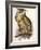 Eagle Owl, Bubo Maximus-Edward Lear-Framed Giclee Print