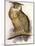Eagle Owl, Bubo Maximus-Edward Lear-Mounted Giclee Print