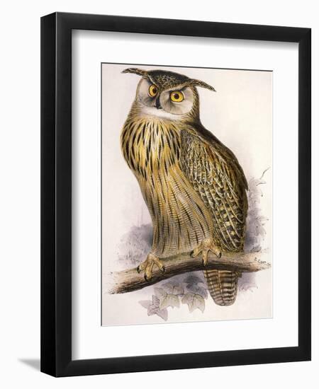 Eagle Owl, Bubo Maximus-Edward Lear-Framed Premium Giclee Print