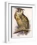 Eagle Owl, Bubo Maximus-Edward Lear-Framed Premium Giclee Print