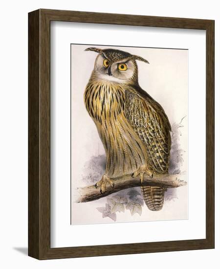 Eagle Owl, Bubo Maximus-Edward Lear-Framed Giclee Print