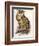 Eagle Owl, Bubo Maximus-Edward Lear-Framed Giclee Print