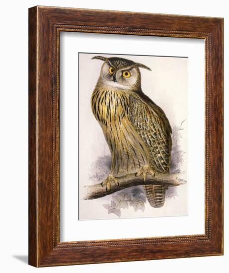 Eagle Owl, Bubo Maximus-Edward Lear-Framed Giclee Print