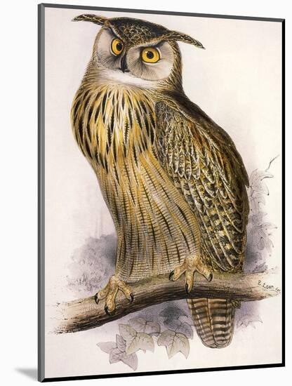 Eagle Owl, Bubo Maximus-Edward Lear-Mounted Giclee Print