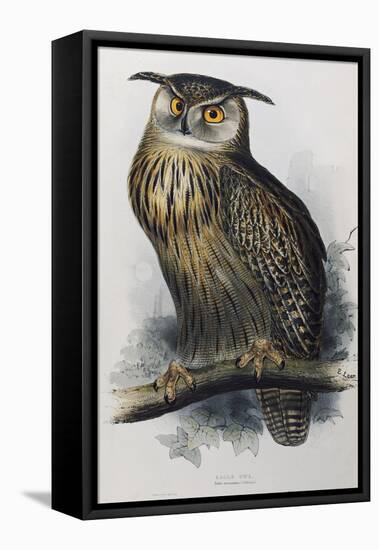 Eagle Owl, Lithographic Plate from "The Birds of Europe"-John Gould-Framed Stretched Canvas