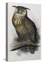 Eagle Owl, Lithographic Plate from "The Birds of Europe"-John Gould-Stretched Canvas