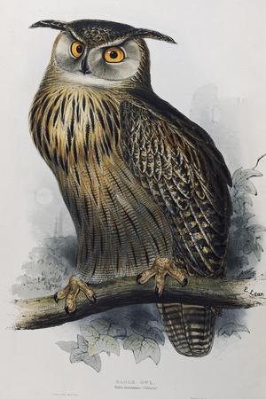 https://imgc.allpostersimages.com/img/posters/eagle-owl-lithographic-plate-from-the-birds-of-europe_u-L-Q1HN9O40.jpg?artPerspective=n