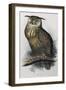 Eagle Owl, Lithographic Plate from "The Birds of Europe"-John Gould-Framed Giclee Print