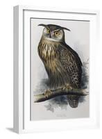 Eagle Owl, Lithographic Plate from "The Birds of Europe"-John Gould-Framed Giclee Print