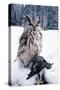 Eagle Owl with Prey, Forest Glade of Ural Mountains-Andrey Zvoznikov-Stretched Canvas