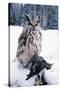 Eagle Owl with Prey, Forest Glade of Ural Mountains-Andrey Zvoznikov-Stretched Canvas