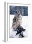 Eagle Owl with Prey, Forest Glade of Ural Mountains-Andrey Zvoznikov-Framed Photographic Print