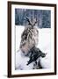 Eagle Owl with Prey, Forest Glade of Ural Mountains-Andrey Zvoznikov-Framed Photographic Print