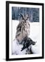 Eagle Owl with Prey, Forest Glade of Ural Mountains-Andrey Zvoznikov-Framed Photographic Print