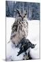 Eagle Owl with Prey, Forest Glade of Ural Mountains-Andrey Zvoznikov-Mounted Photographic Print