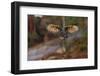 Eagle Owl with Wide Open Wings-Michal Ninger-Framed Photographic Print