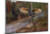 Eagle Owl with Wide Open Wings-Michal Ninger-Mounted Photographic Print