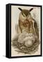 Eagle Owl-John Gould-Framed Stretched Canvas