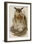 Eagle Owl-John Gould-Framed Art Print