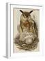 Eagle Owl-John Gould-Framed Art Print