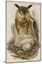 Eagle Owl-John Gould-Mounted Art Print