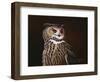 Eagle Owl-Wilhelm Goebel-Framed Giclee Print