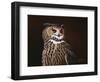 Eagle Owl-Wilhelm Goebel-Framed Giclee Print